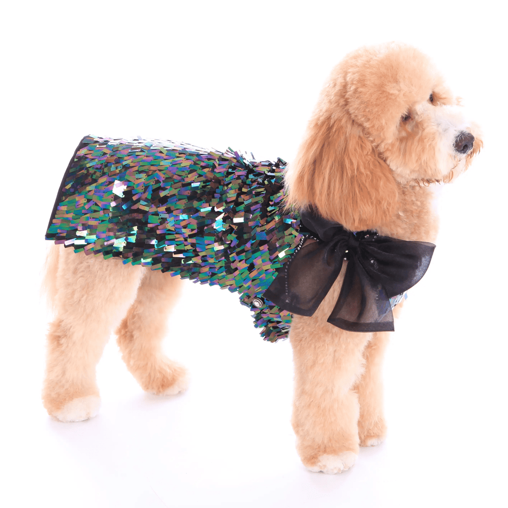 Dog in the Closet Black Iridescent Sequin Party Dress