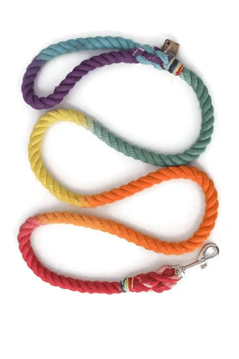 Kai's Canine Creative 4 ft Rainbow Rope Dog Leash