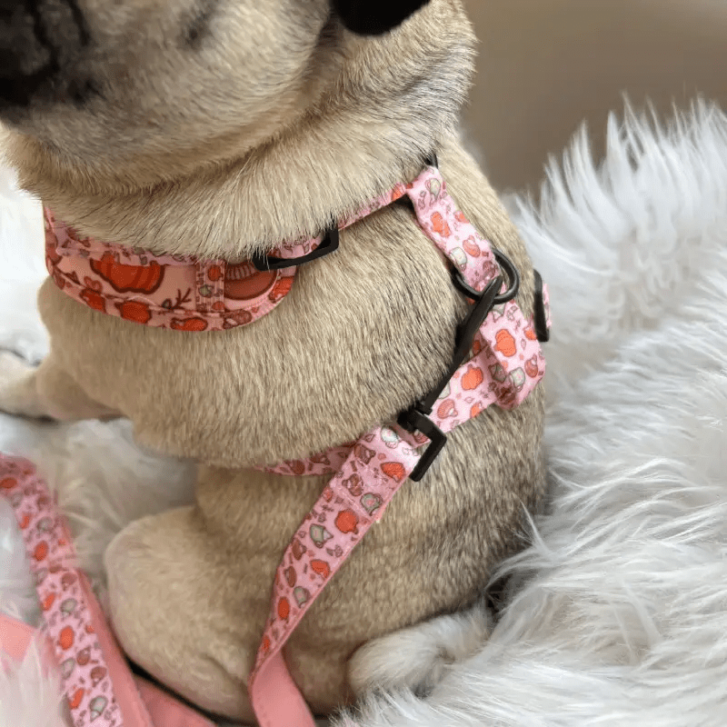 Piggy Pet Fall In Love Dog Harness