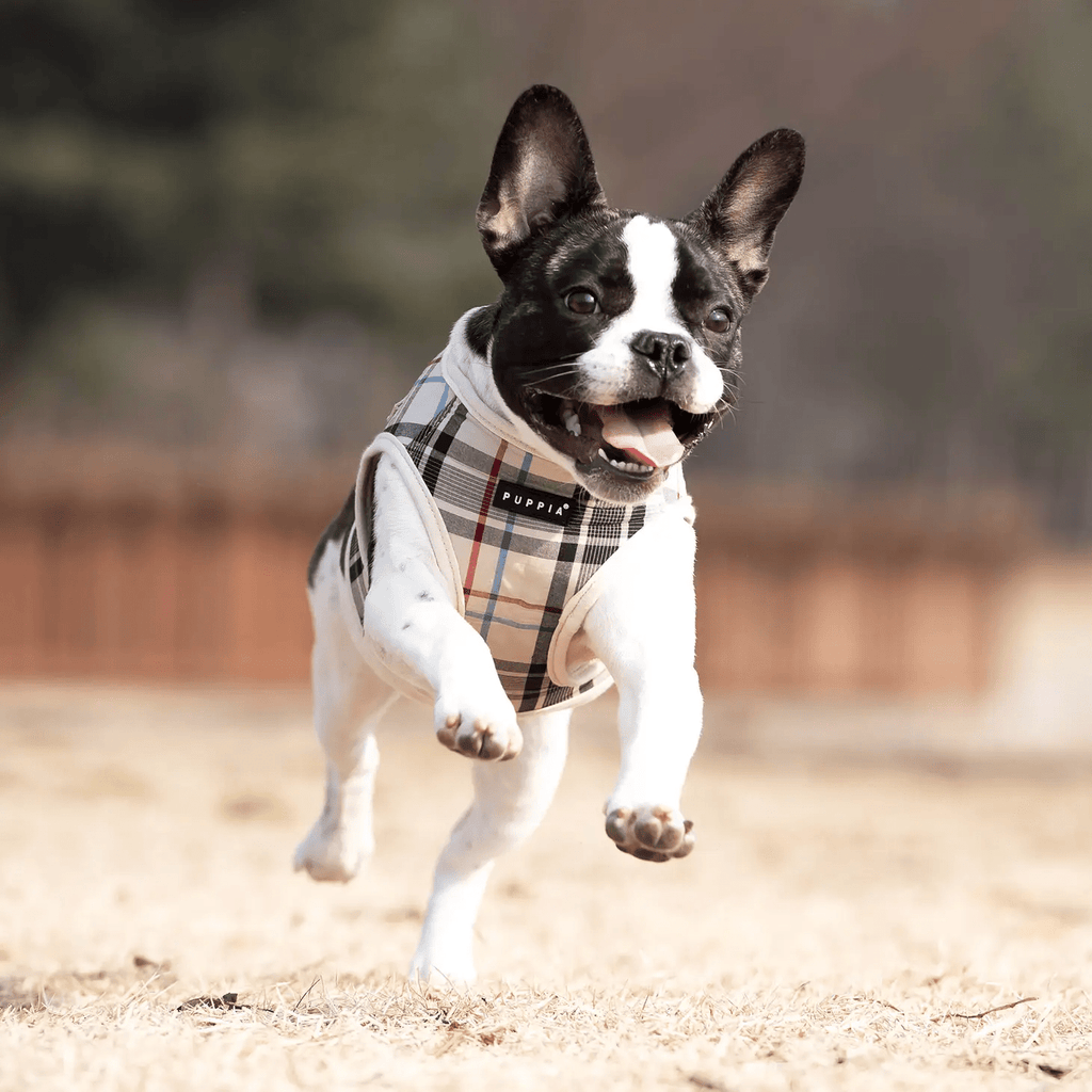 Puppia Junior Vest Dog Harness Checkered Pattern