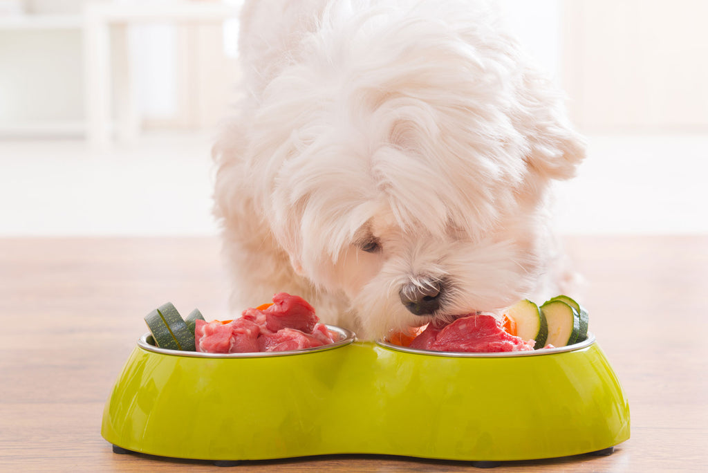 The Benefits of Fresh Pet Food for Dogs