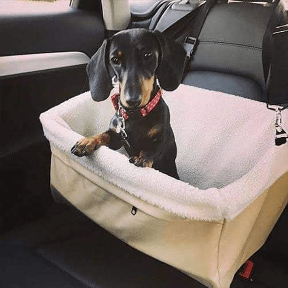 Alpha Paw, Inc Dog Car Saftey Seat