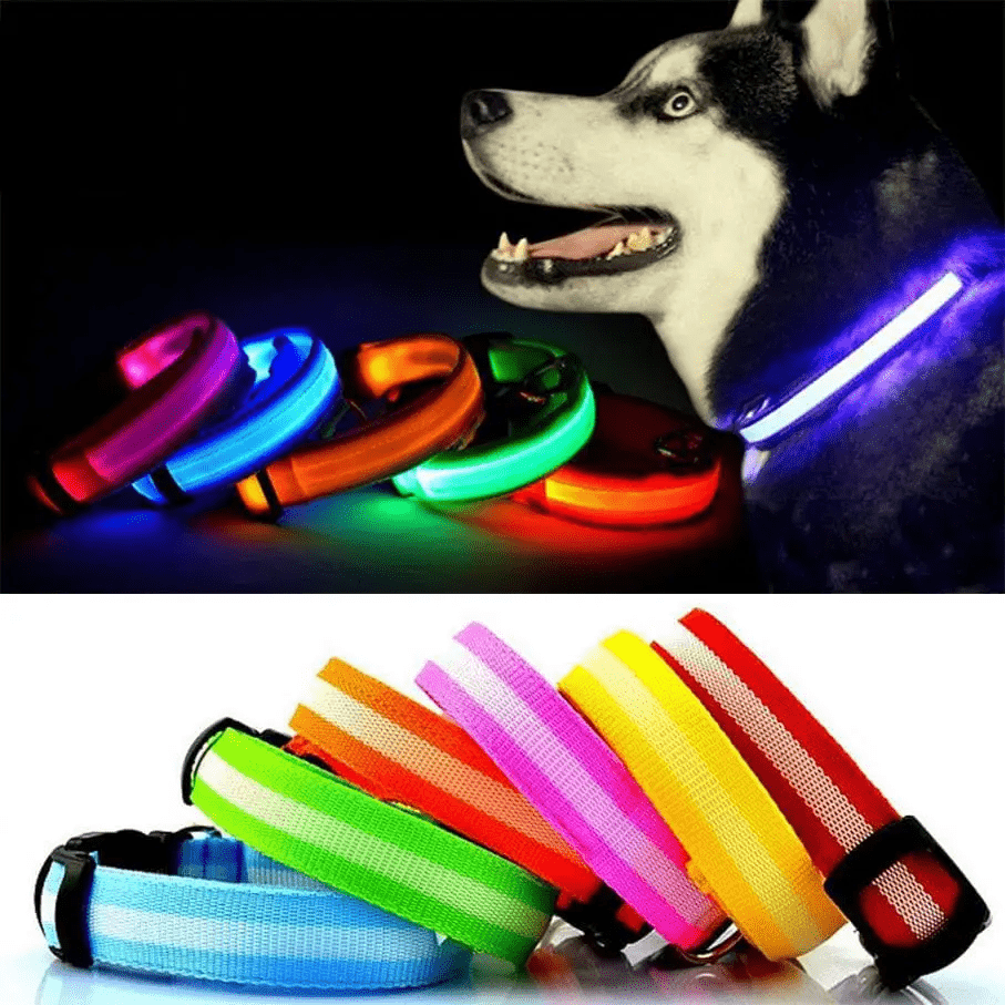 Bunty Pet Products Ltd S / Blue LED Dog Collar