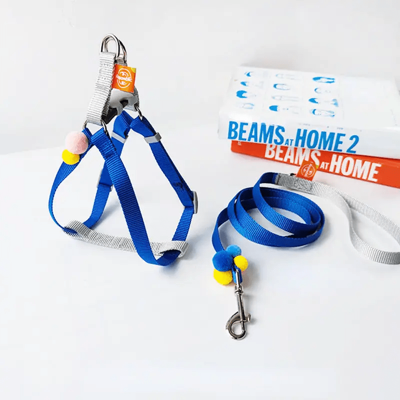 Cheerhunting Blue Loofie - Dog Harness & Leash Set