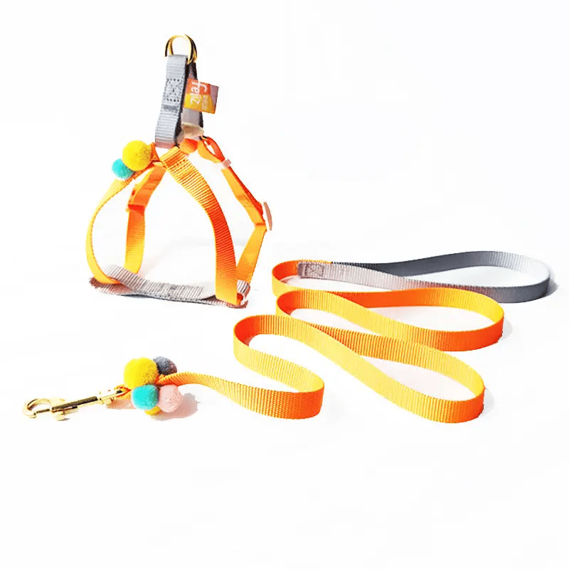 Cheerhunting Orange Loofie - Dog Harness & Leash Set