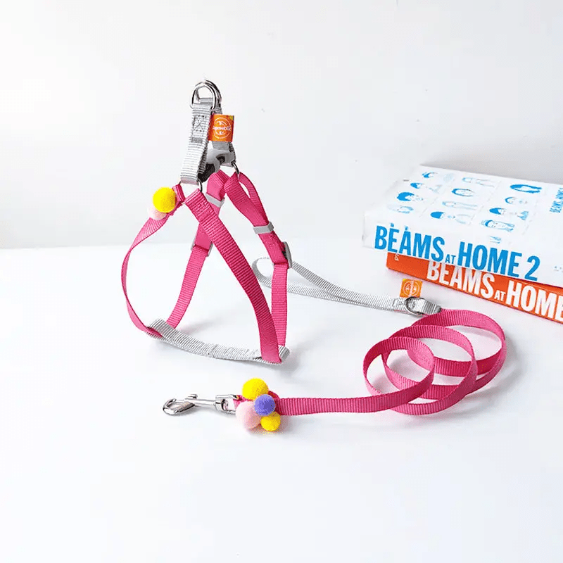 Cheerhunting Pink Loofie - Dog Harness & Leash Set