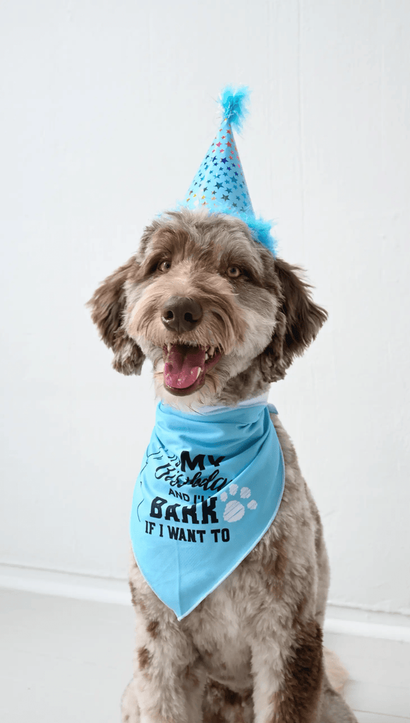 Dexypaws Dog Birthday Hat - Blue
