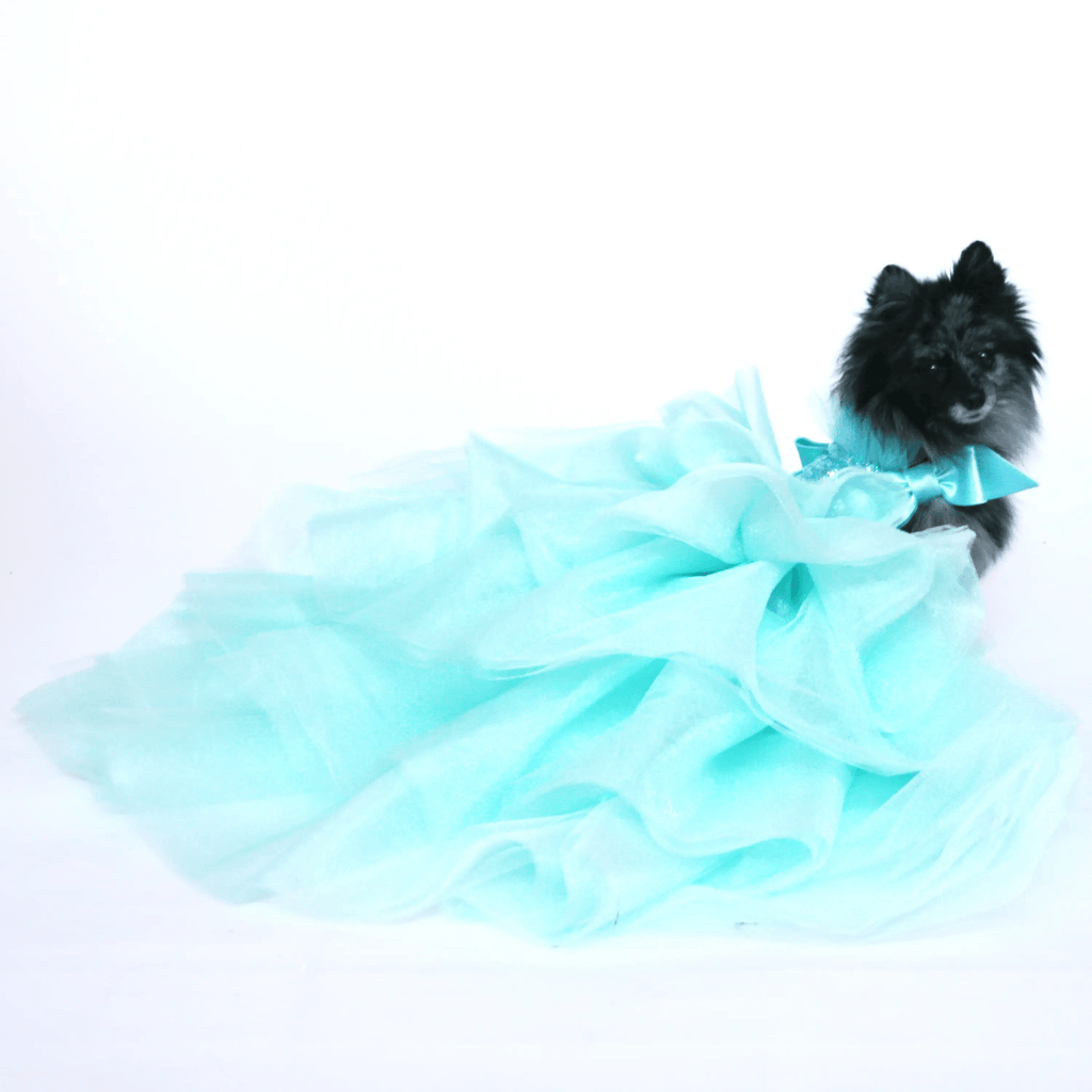 Dog in the Closet Aqua Tulle and Sequin Party Dress