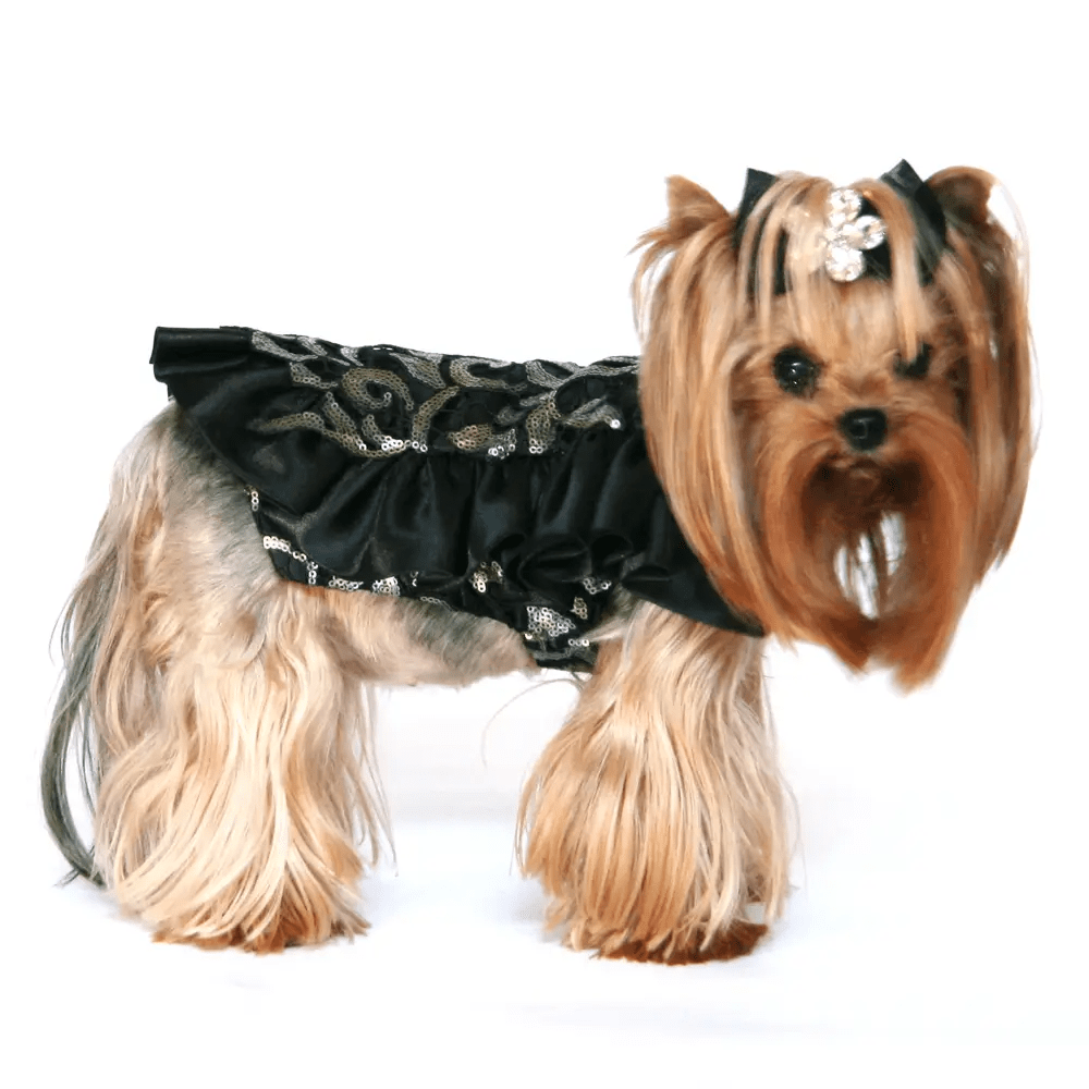 Dog in the Closet Black Sequin Ruffled Party Dress