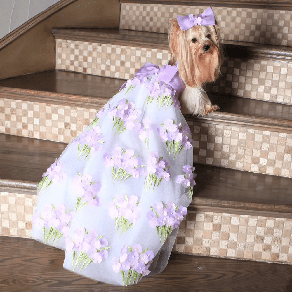 Dog in the Closet Lilac Flower and Pear Party Dress