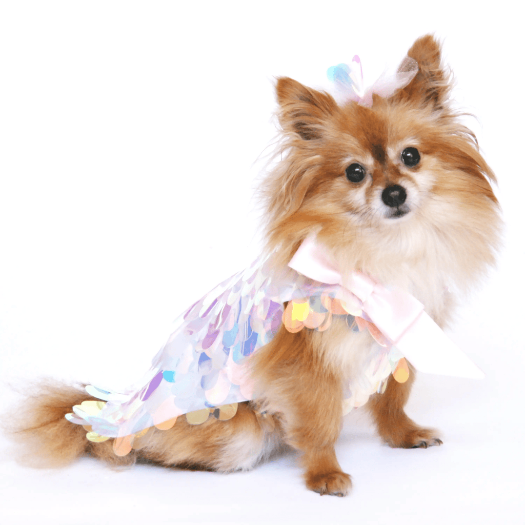 Dog in the Closet Pastel Pink Iridescent Sequin Party Dress