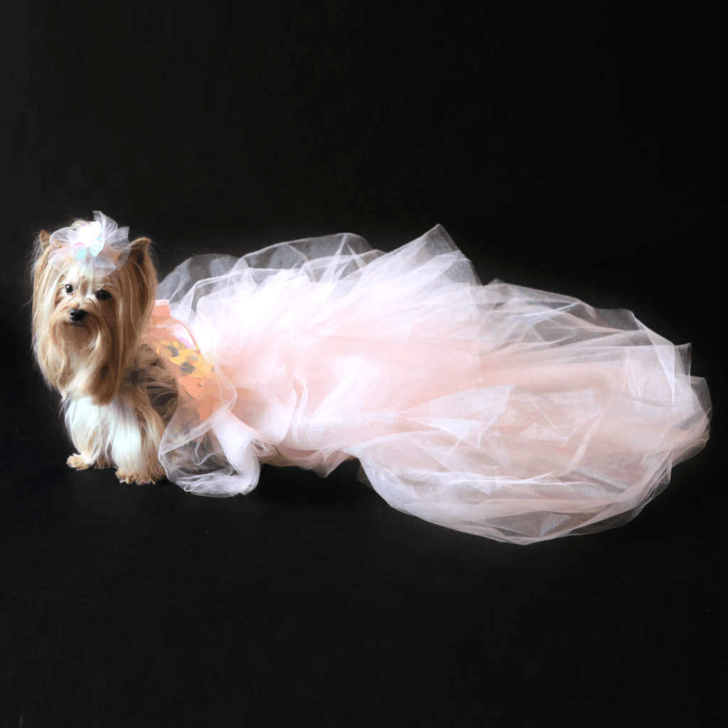 Dog in the Closet Pastel Pink Tulle and Iridescent Sequin Party Dress
