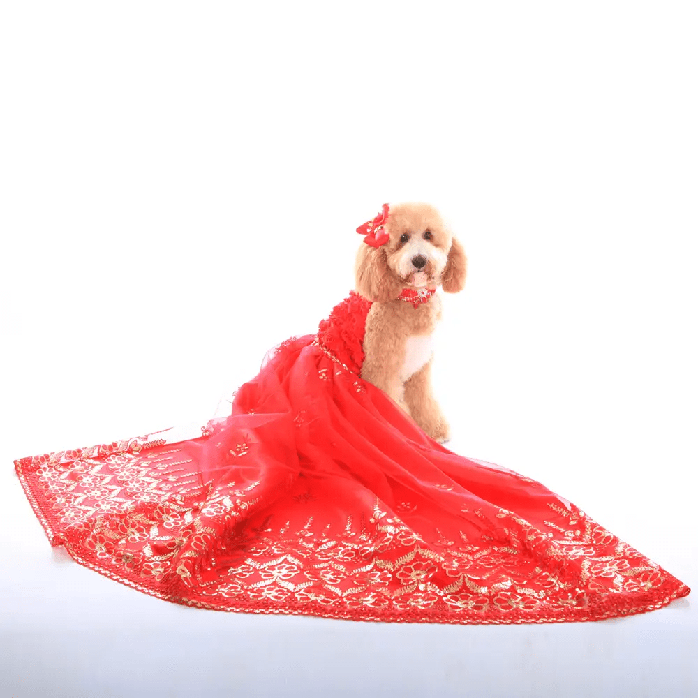 Dog in the Closet Red Bubble Dress with Detachable Long Skirt