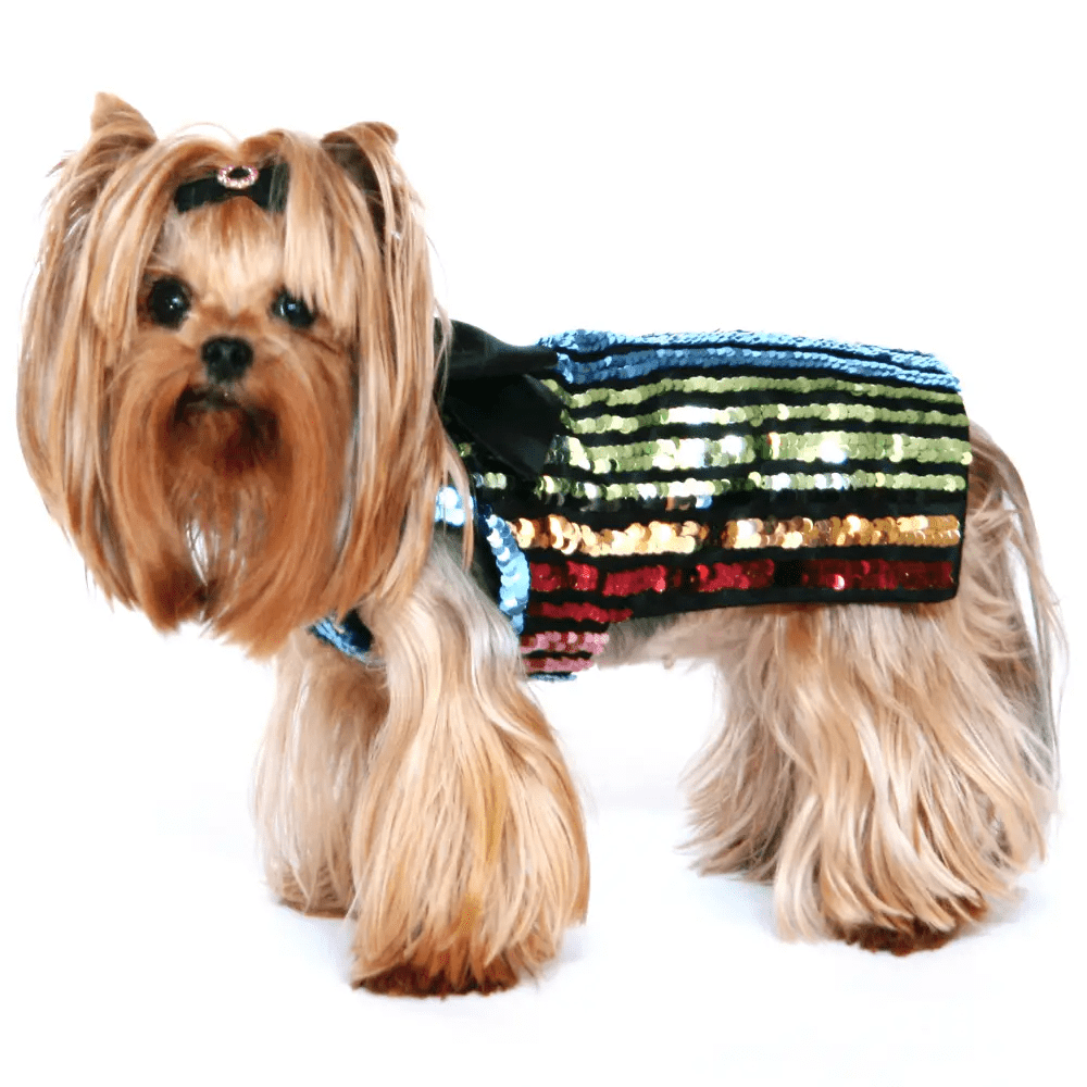 Dog in the Closet Striped Sequin Party Dress with Detachable Tulle Skirt