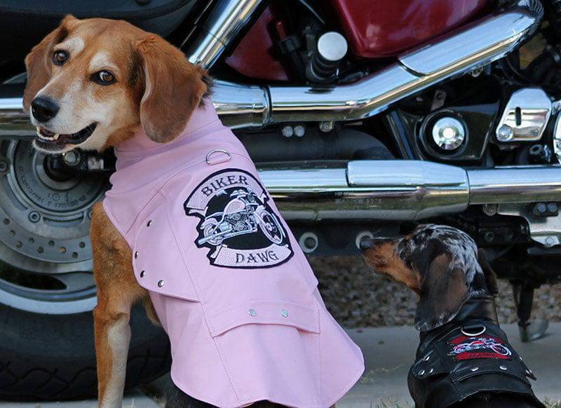 Doggie Design, Inc Biker Dawg Motorcycle Jacket - Pink