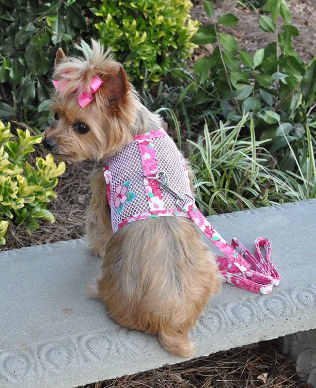 Doggie Design, Inc Cool Mesh Dog Harness with Leash