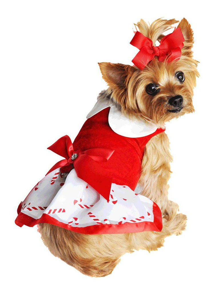 Doggie Design, Inc XS Christmas Candy Cane Rhinestone Dress with D-Ring and Leash