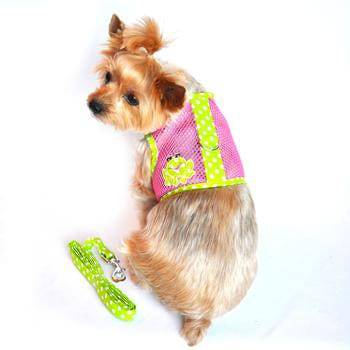Doggie Design, Inc XS / Frog Green Dot and Pink Cool Mesh Dog Harness with Leash