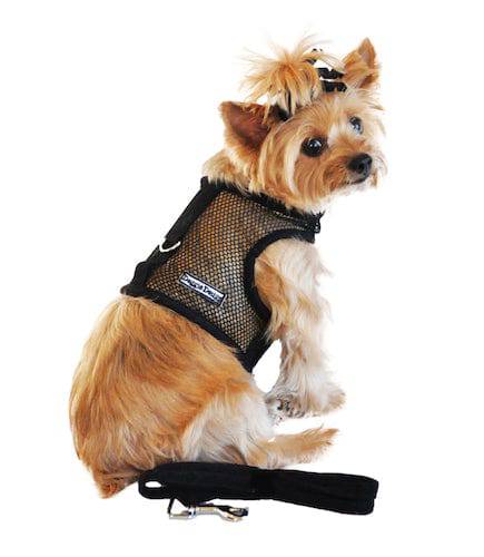 Doggie Design, Inc XS / Solid Black Cool Mesh Dog Harness with Leash