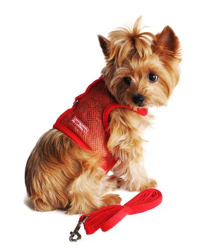 Doggie Design, Inc XS / Solid Red Cool Mesh Dog Harness with Leash
