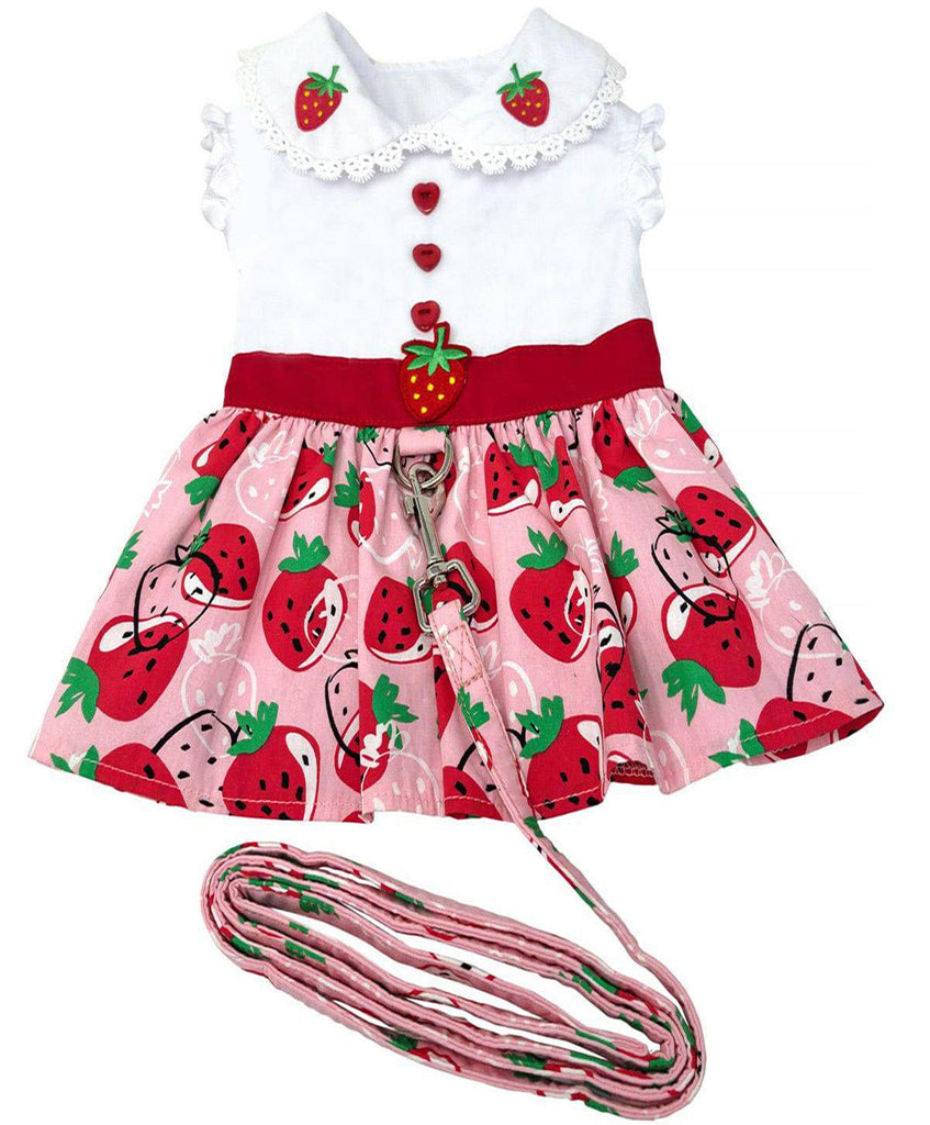 Doggie Design, Inc XS Strawberry Picnic Dress with Matching Leash