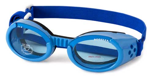 Doggles XS Shiny Blue ILS Doggles with Blue Lens & Straps