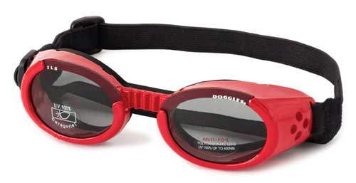 Doggles XS Shiny Red ILS Doggles with Light Smoke Lens