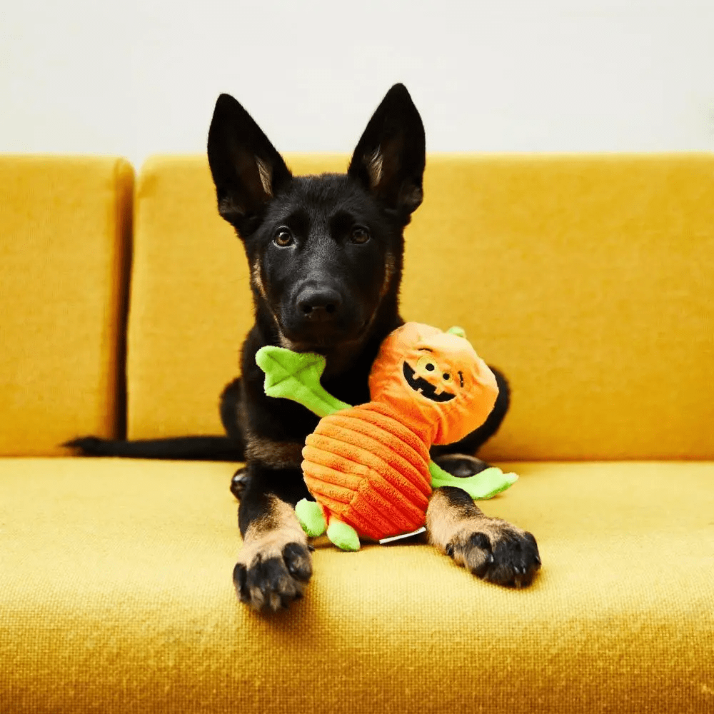 DoggySquad Halloween Pumpkin Toy