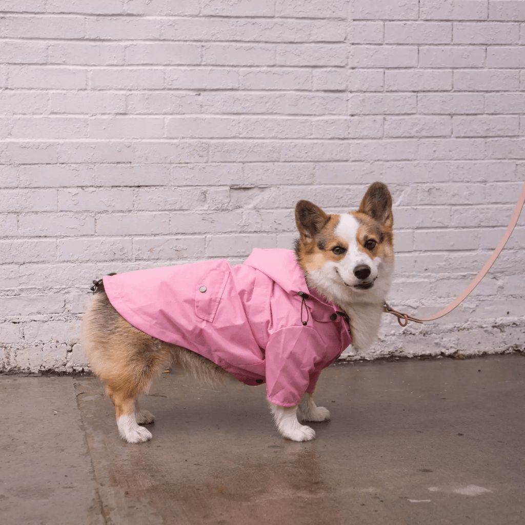 Ellie Dog Wear Light Pink Raincoat