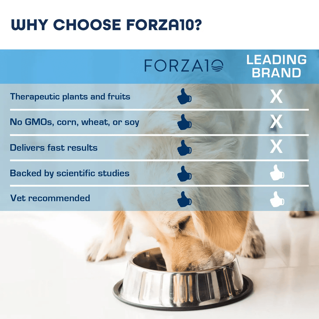 Forza10 Forza10 Actiwet Renal Support Canned Dog Food