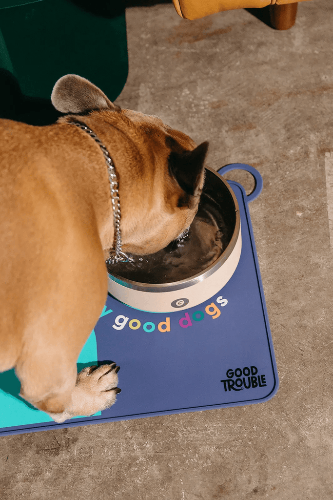 Good Trouble Stainless Steel Dog Bowl