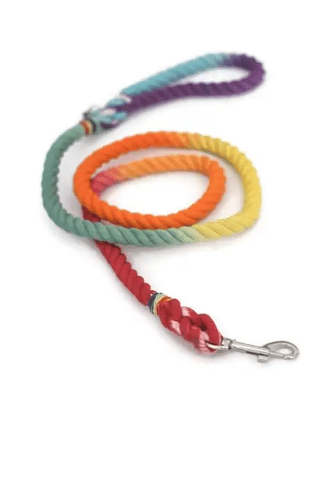 Kai's Canine Creative Rainbow Rope Dog Leash