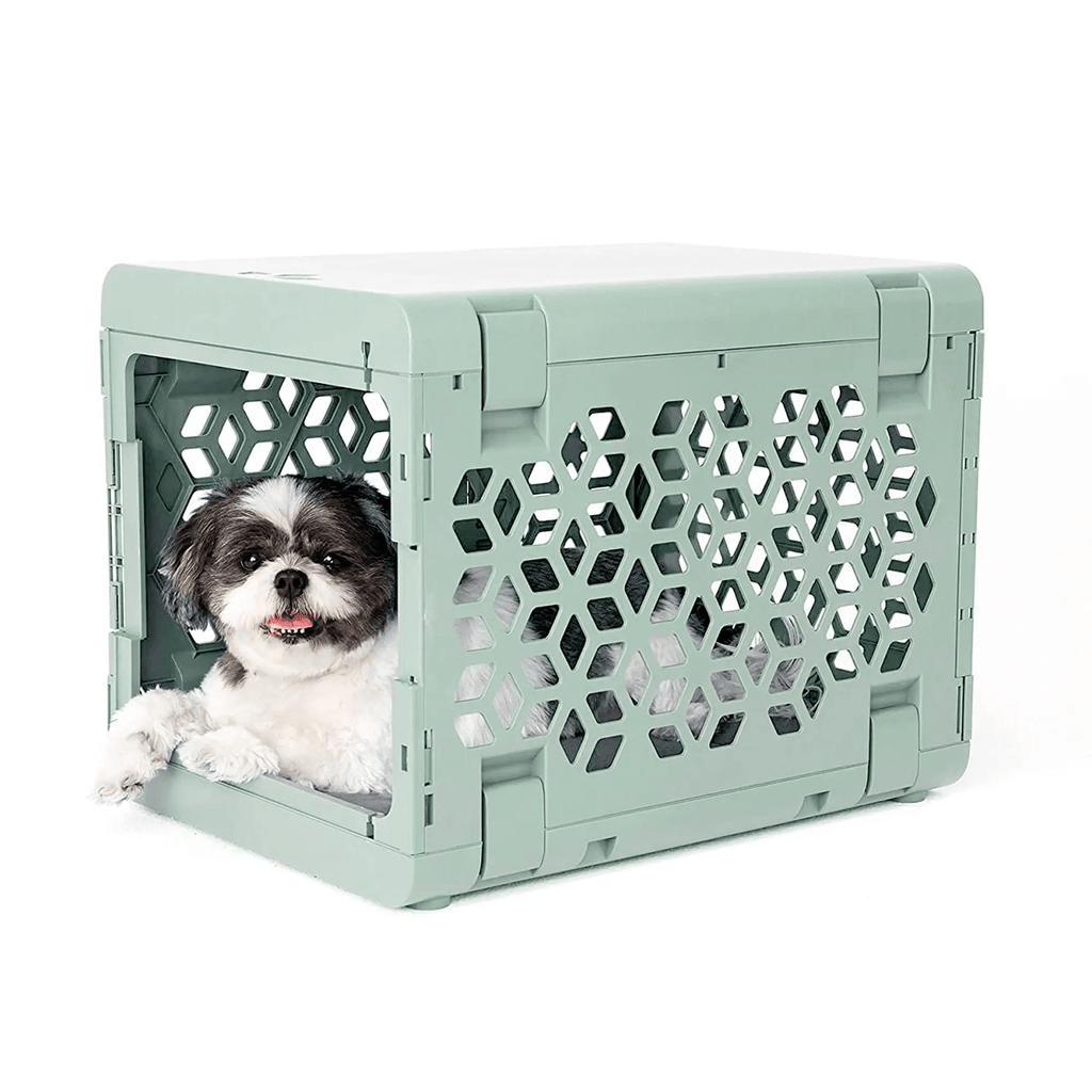 KindTail Light Green Small PAWD® | Modern Collapsible Plastic Dog & Pet Crate