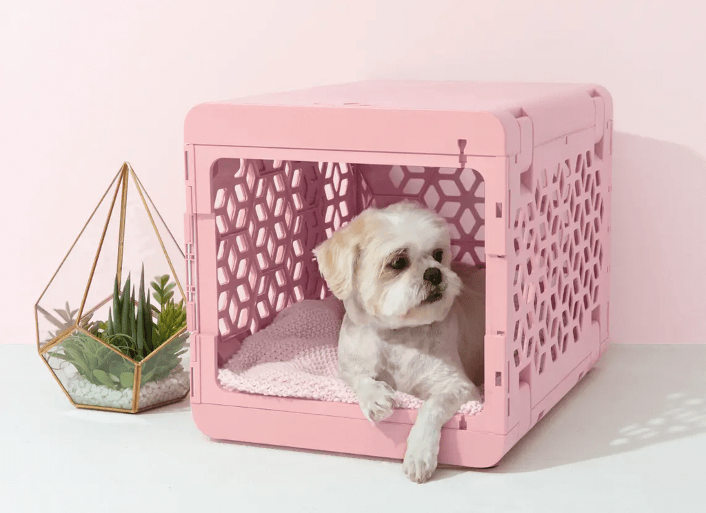 KindTail Rose Pink Small PAWD® | Modern Collapsible Plastic Dog & Pet Crate