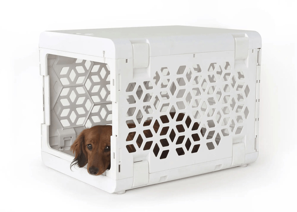 KindTail White Small PAWD® | Modern Collapsible Plastic Dog & Pet Crate