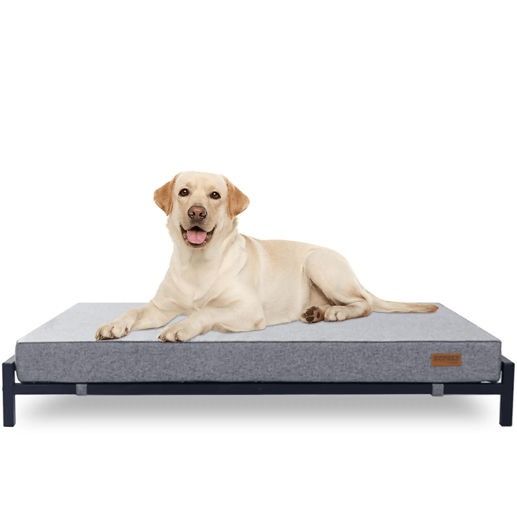 Kopeks Elevated Dog Bed with Orthopedic Foam Mattress