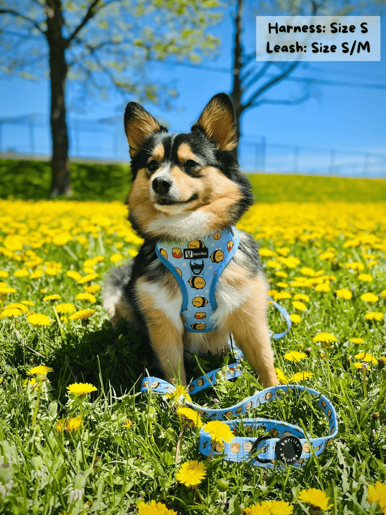 Korriko Pet Supply Adjustable Dog Harness - HoneyBee