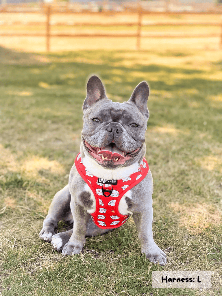 Korriko Pet Supply Adjustable Dog Harness - Moo Moo