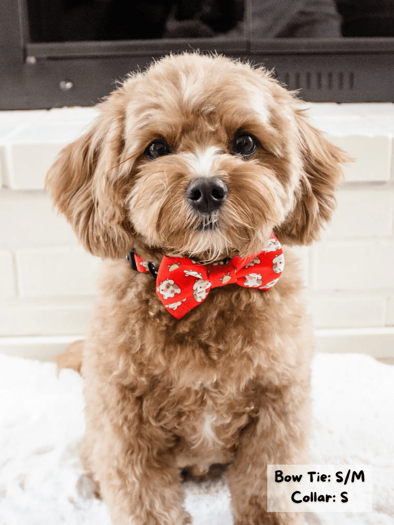 Korriko Pet Supply Bow Tie - Moo Moo