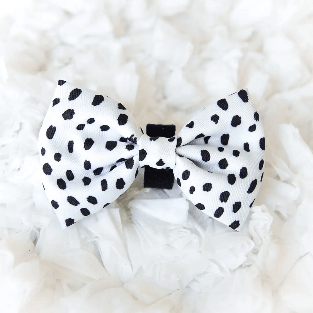 Korriko Pet Supply Bow Tie - Spotted
