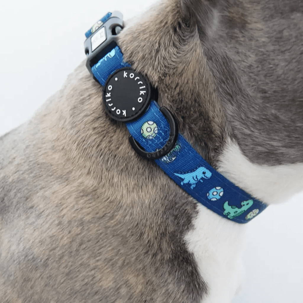 Korriko Pet Supply Dog Collar - Dino