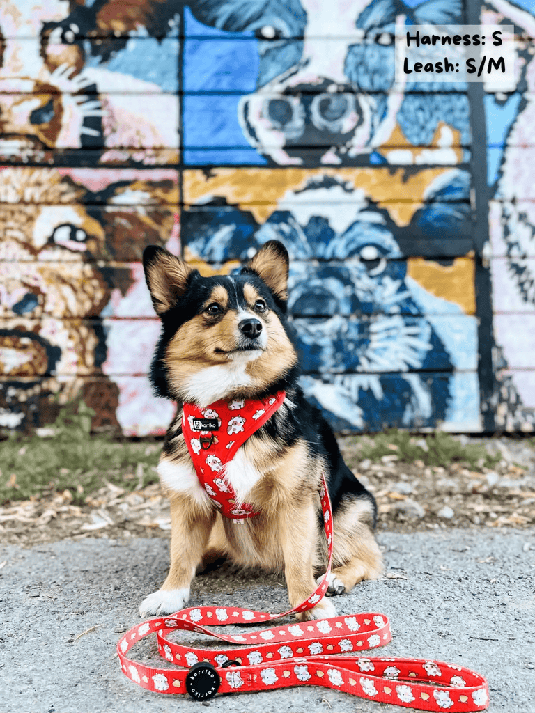 Korriko Pet Supply Dog Leash - Moo Moo