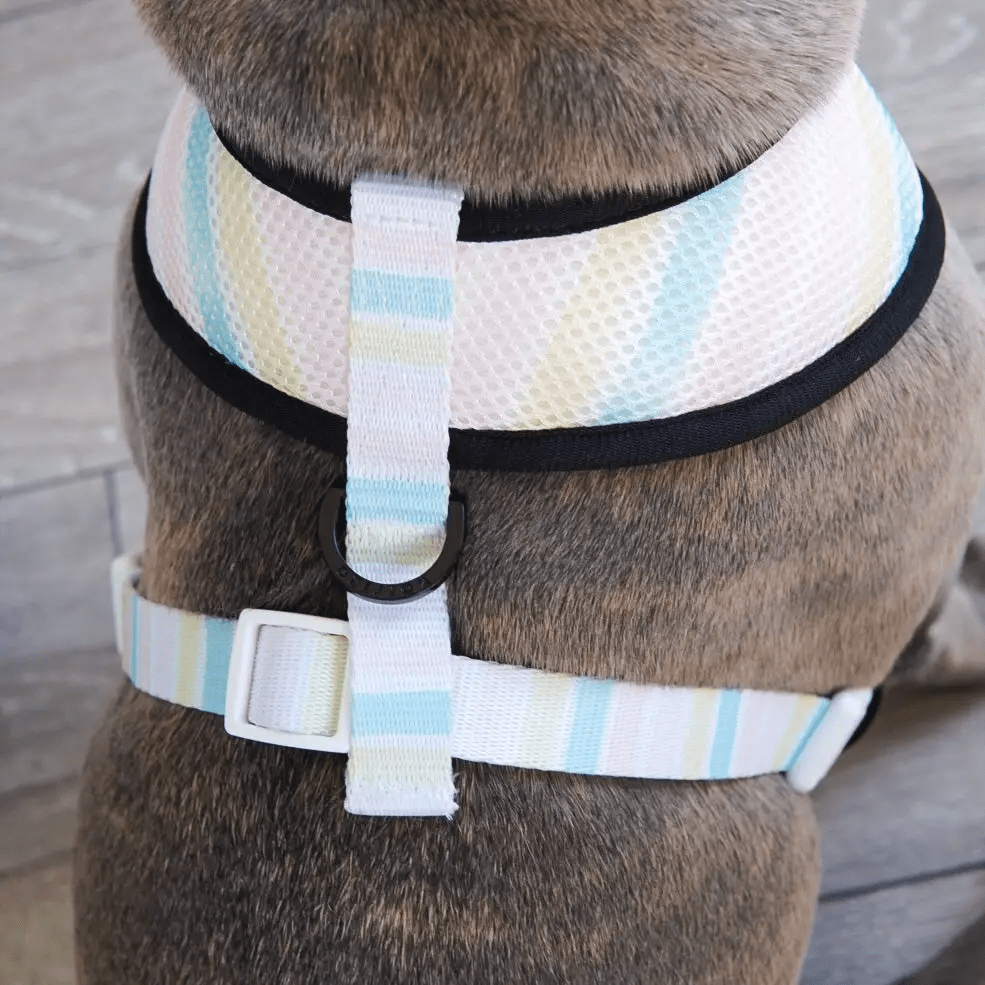 Korriko Pet Supply Reversible Dog Harness - Ice Cream