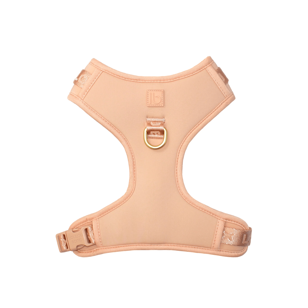 LouLou Bone X-Small / Rose Gold Leather Harness