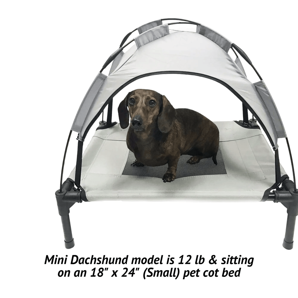 Midlee Designs Midlee Dog Cot with Canopy Elevated Pet Bed