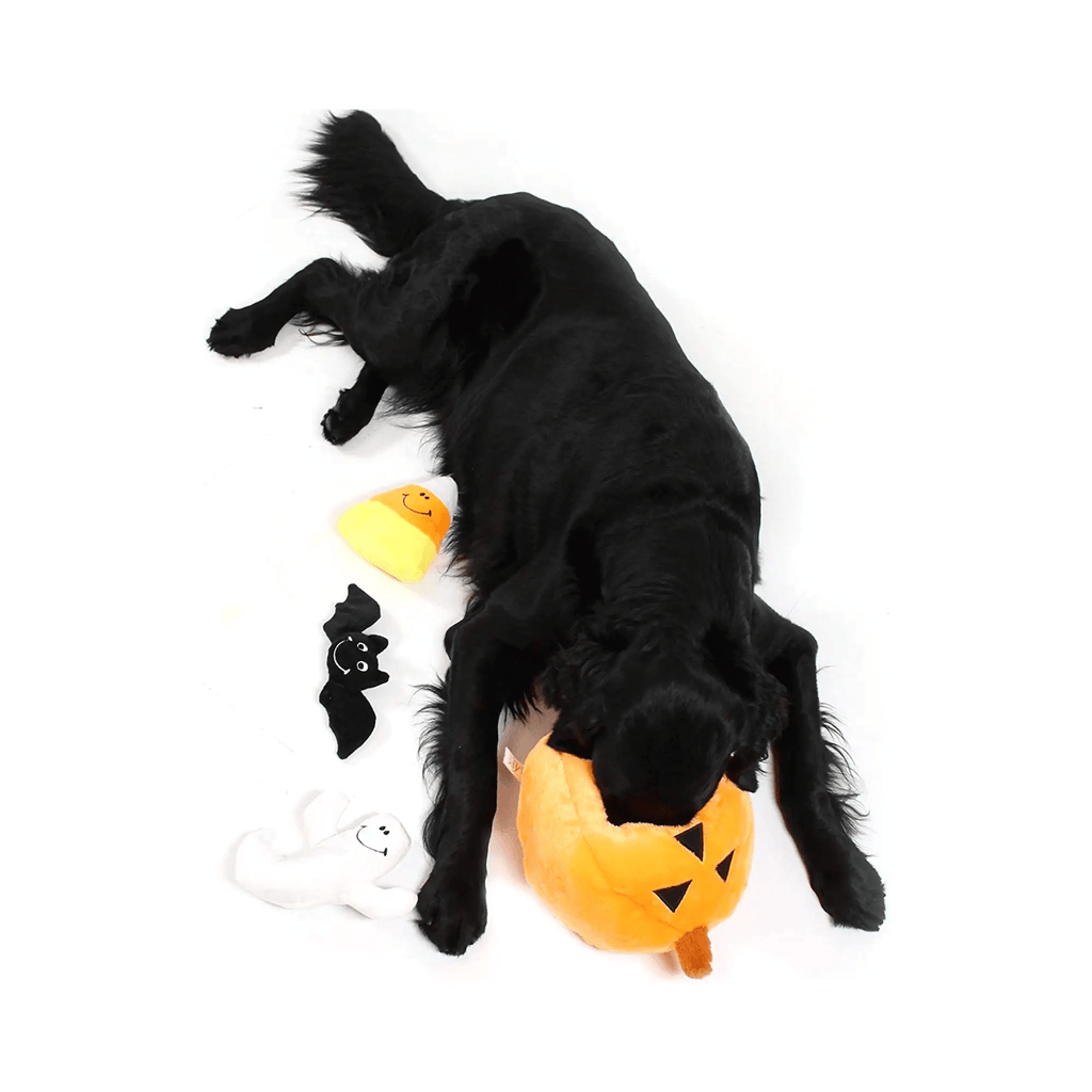 Midlee Designs Midlee Pumpkin Find a Toy Halloween Dog Toy