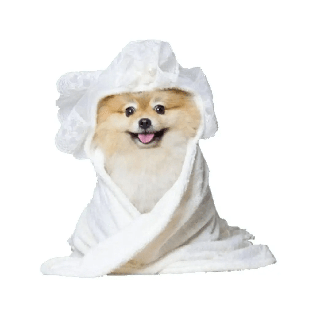 MOSHIQA Bridal Shower Towel