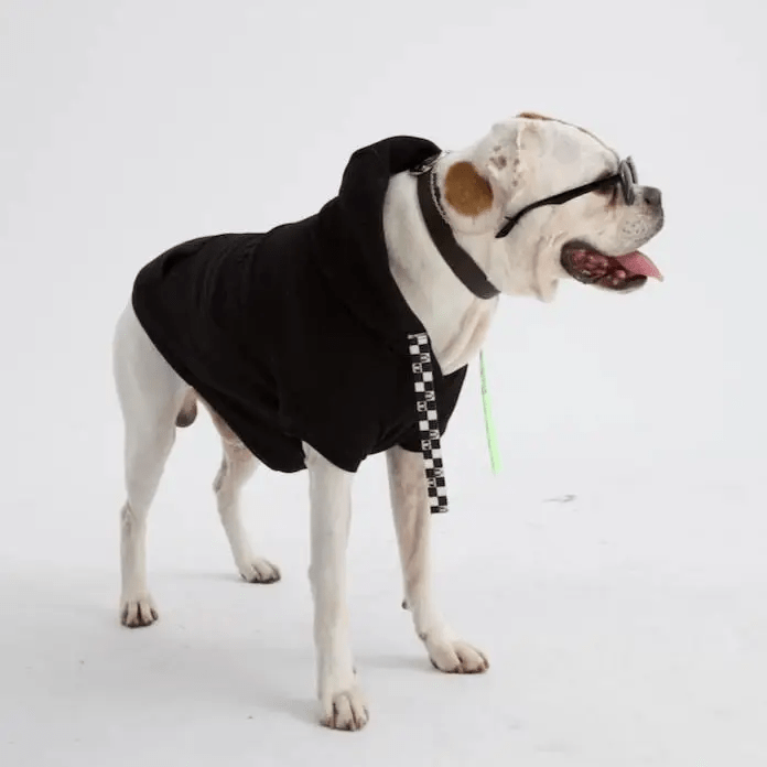 MOSHIQA Dog Hoodie Sweatshirt