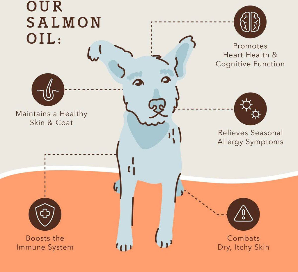 Natural Dog Company Wild Alaskan Salmon Oil Liquid Skin & Coat Supplement for Dogs