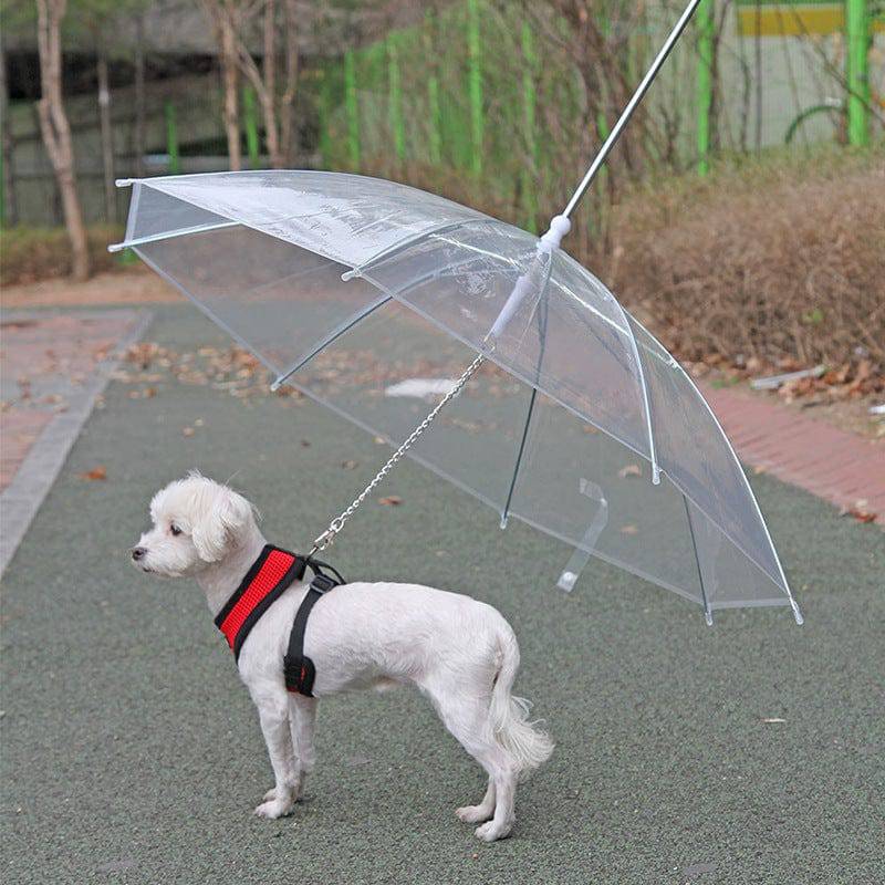 Pet Emporium LLC Pet Umbrella Leash